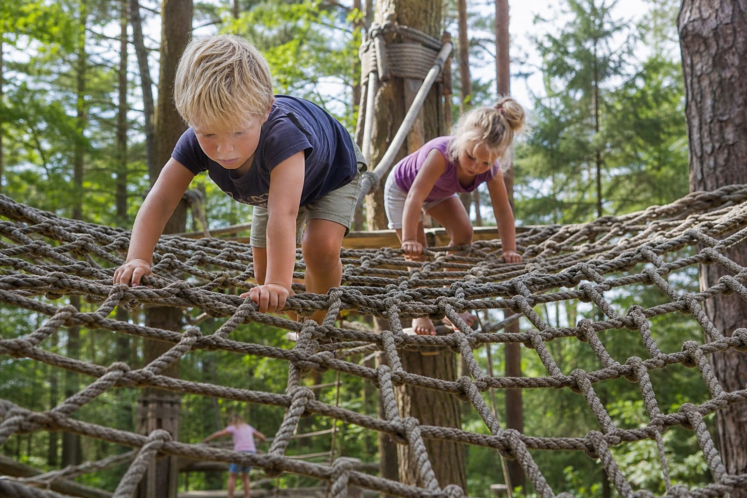 Kinderen klimmen op touwnetten tussen de bomen in het speelbos